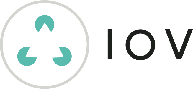 IOV - A DNS-like protocol for blockchain networks