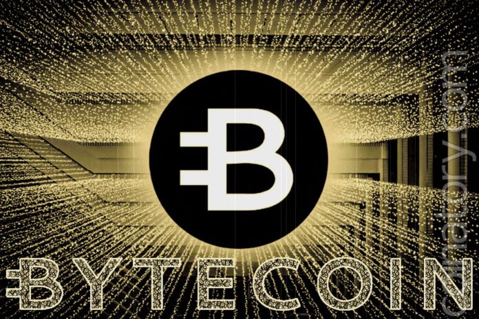 Bytecoin Oldest Privacy-Focused Crypto Coin