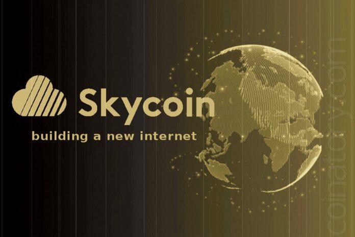 Understanding Skycoin (SKY)