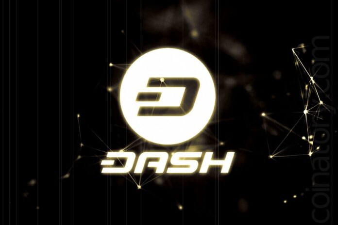 What is Dash? A Guide for Beginners