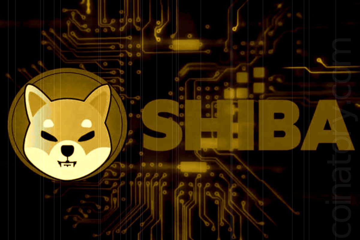 Largest SHIB Whale Spotted, $1.55M Worth Tokens Purchased