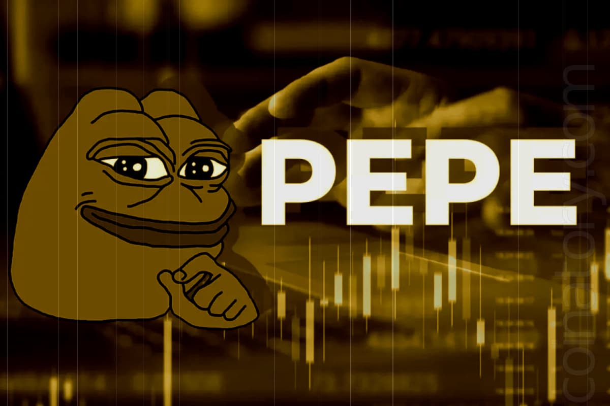 Crypto Whales Defy Market Slump: Despite $1.1 Billion Loss, Pepe Coin Attracts Major Players