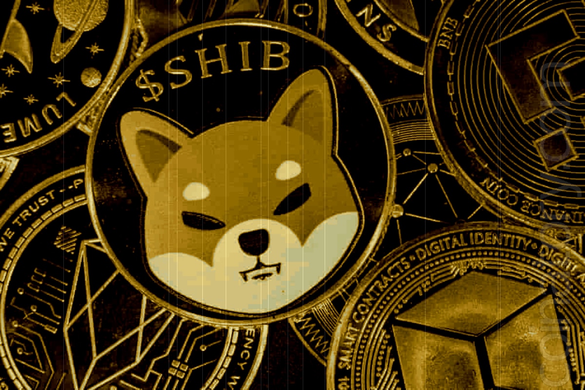 Crypto Paradox: SHIB Price Falls, Transactions Rise