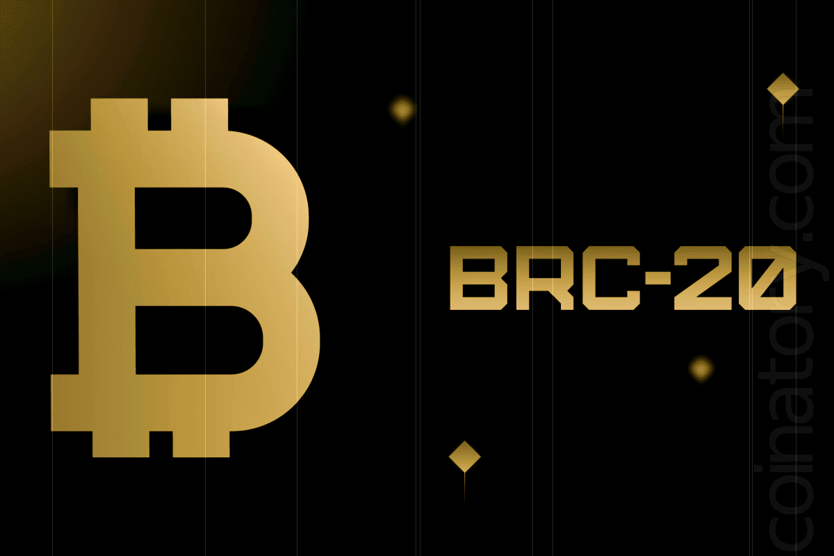 Wallet providers introduce BRC-20 token support despite market drawdown