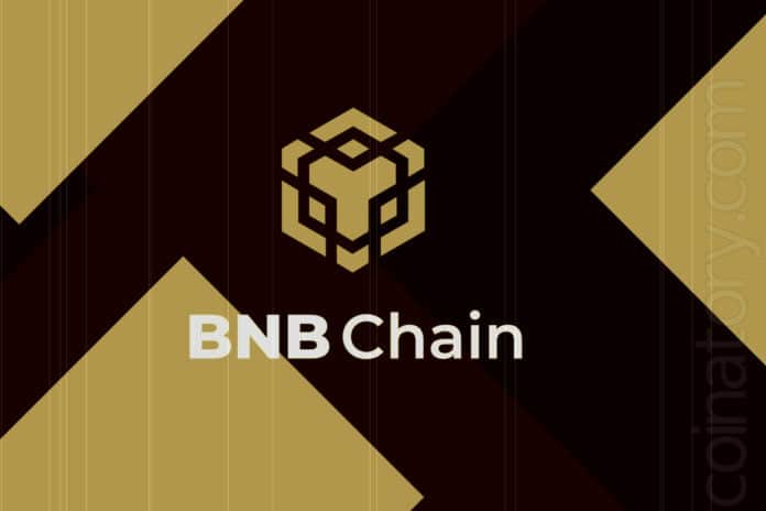 BNB Smart Chain Targeted by Hackers Due to Programming Language Vulnerability