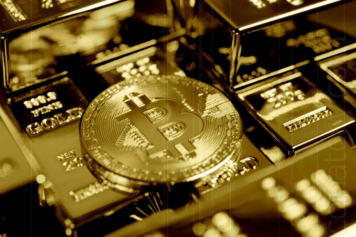 Enso Airdrop