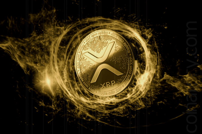 Patrick Riley of Reaper Financial Foresees Ripple (XRP) Surpassing $22 in Next Bull Market