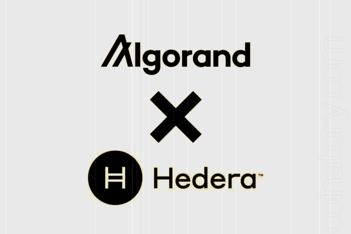 Algorand and Hedera Join Forces to Develop Decentralized Wallet Recovery System