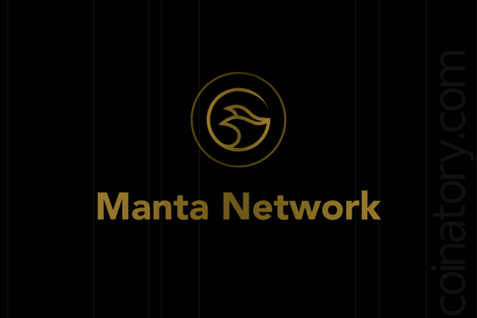 The Manta network faces a major DDoS attack